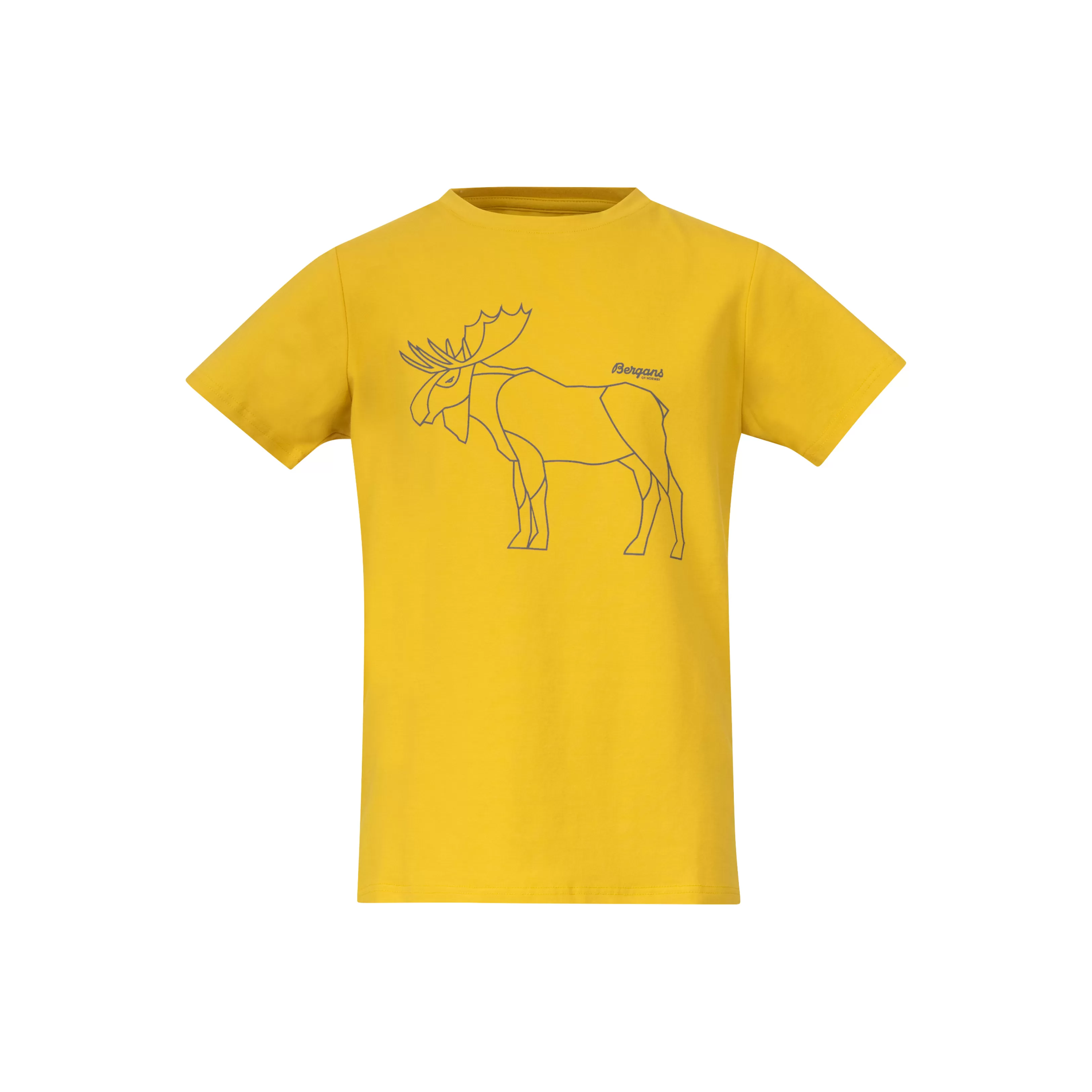 Bergans Graphic Youth Tee - ^Kids Cotton t-shirts