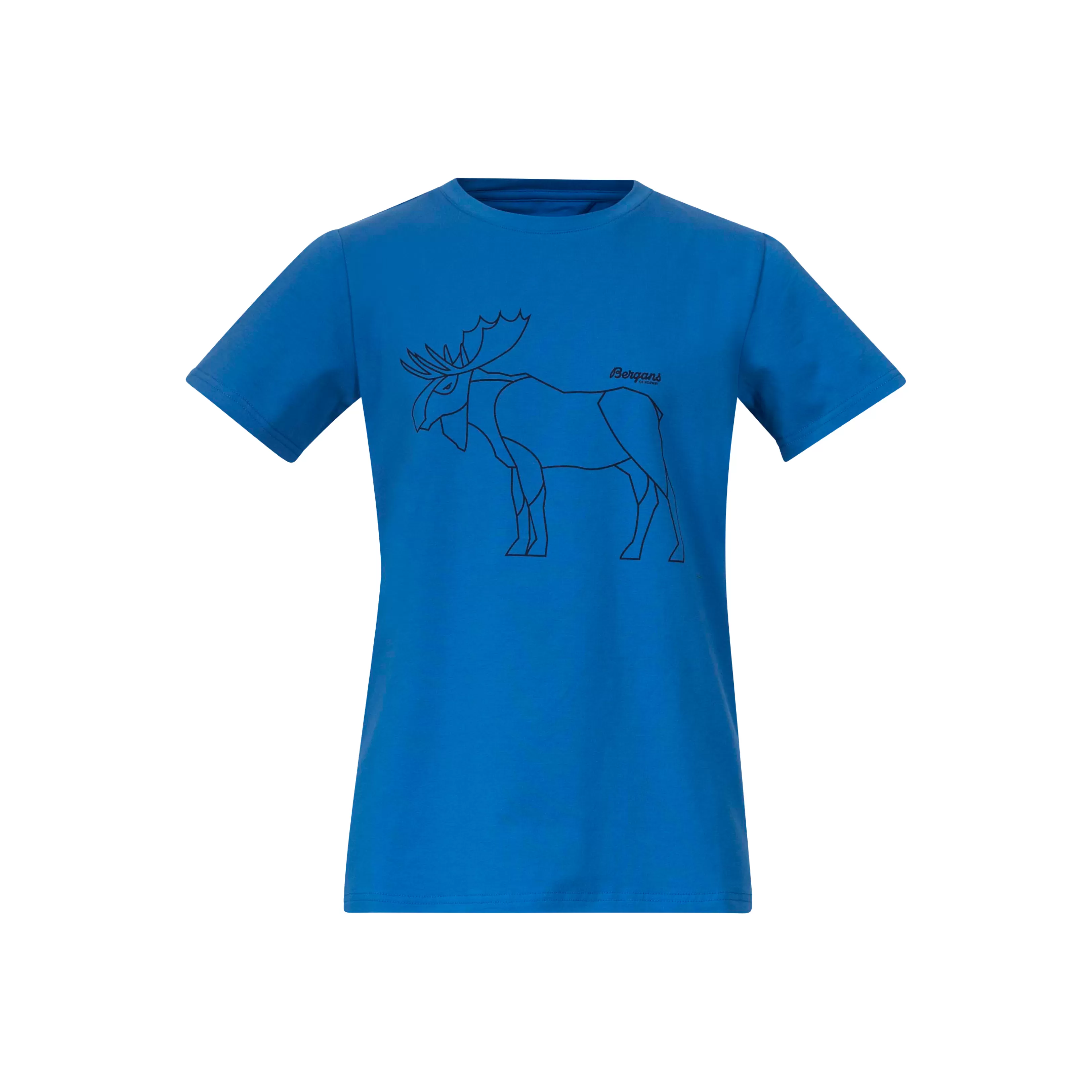 Bergans Graphic Youth Tee - ^Kids Cotton t-shirts